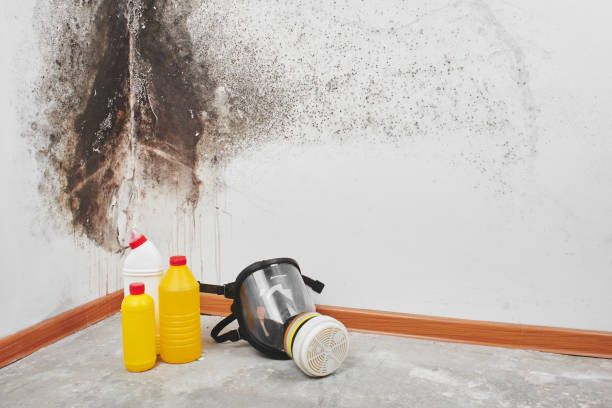 Best Emergency Mold Removal  in Port Barre, LA
