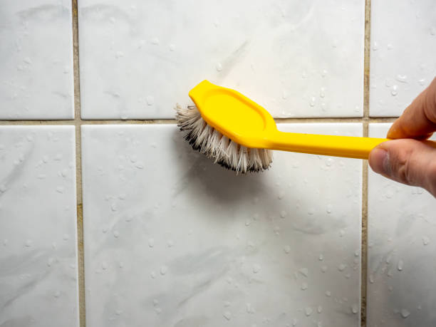 Best Mold Cleaning Services  in Port Barre, LA