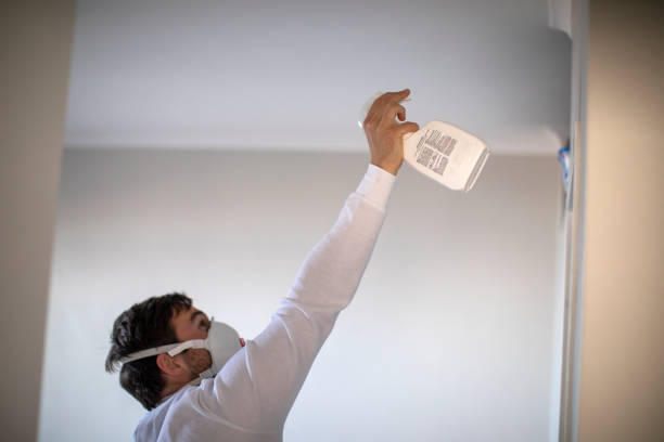 Best Emergency Mold Removal  in Port Barre, LA