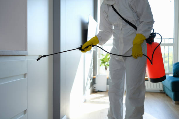 Best Fast Mold Removal  in Port Barre, LA