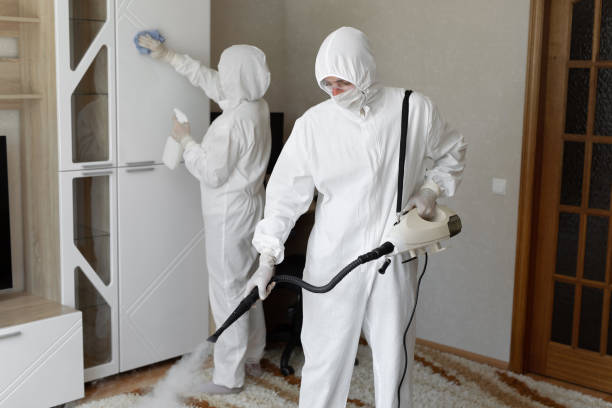 Crawl Space Mold Removal in Port Barre, LA