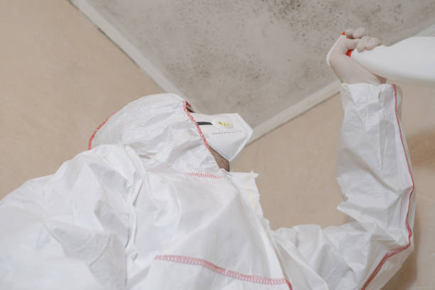 Best Mold Testing  in Port Barre, LA