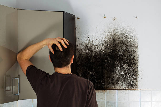 Best Certified Mold Removal  in Port Barre, LA