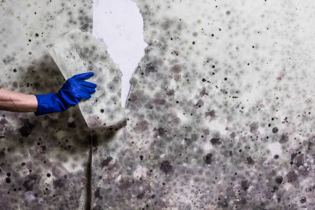 Water Damage Restoration in Port Barre, LA